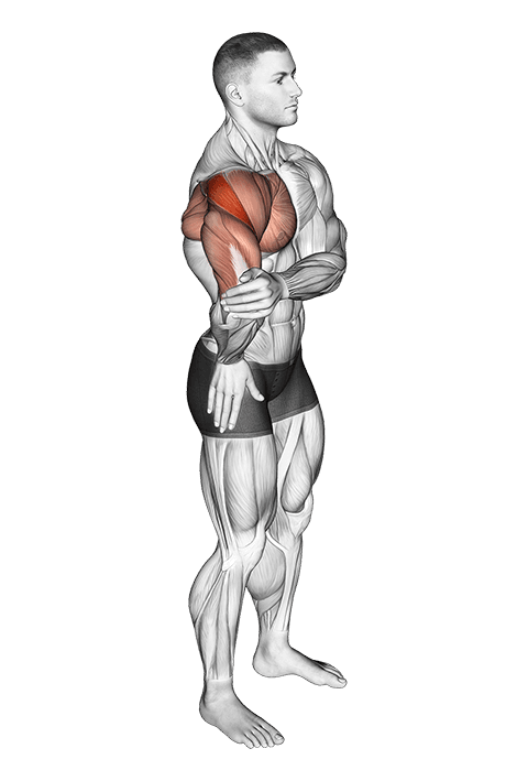 Elbow Out Rotator Stretch exercise demonstration