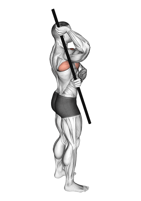Arm Up Rotator Stretch exercise demonstration for Shoulders, Body weight