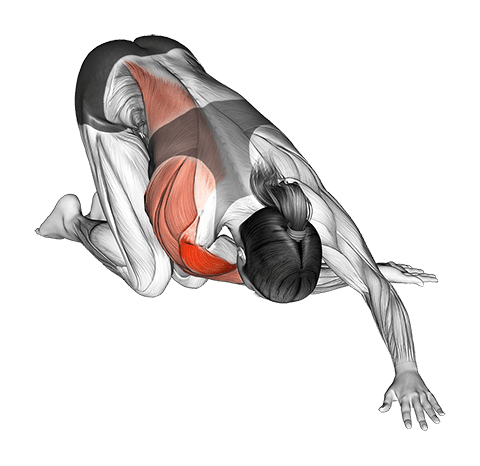 Kneeling One Arm Cross Body Stretch exercise demonstration