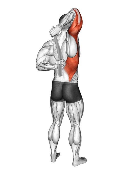Shoulder Stretch With Towel Behind The Back exercise demonstration for Shoulders, Body weight