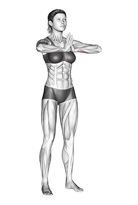 Finger Stretch exercise demonstration for Forearms, Body weight