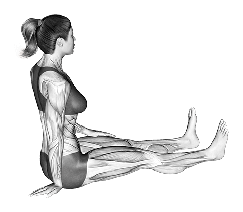 Seated Wrist Ulnar Deviator And Flexor Stretch exercise demonstration for Forearms, Body weight