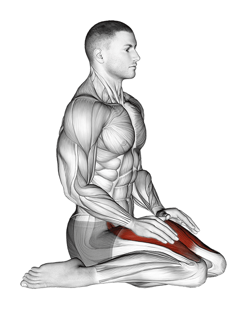 Seated Quadriceps Stretch exercise demonstration for Thighs, Body weight