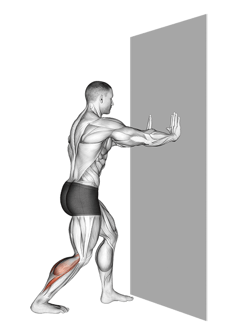 Leaning Heel Back Achilles Stretch exercise demonstration for Calves, Body weight