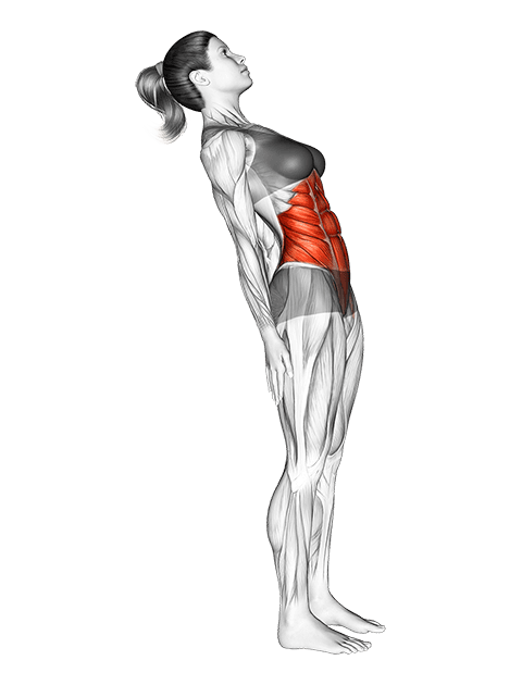 Standing Lean Back Stomach Stretch exercise demonstration for Waist, Body weight