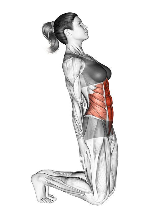 Kneeling Abdominal Stretch exercise demonstration for Waist, Body weight