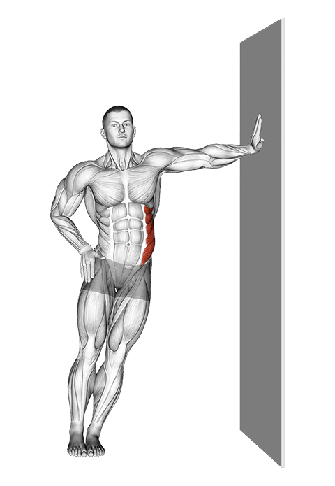 Standing Lower Trunk Lateral Flexor Stretch exercise demonstration for Back, Body weight