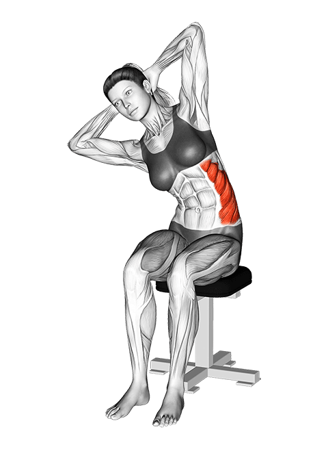 Seated Lower Trunk Lateral Flexor Stretch exercise demonstration for Waist, Body weight