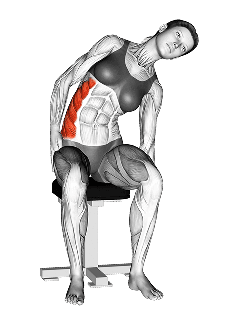 Sitting Lateral Side Stretch exercise demonstration for Waist, Body weight