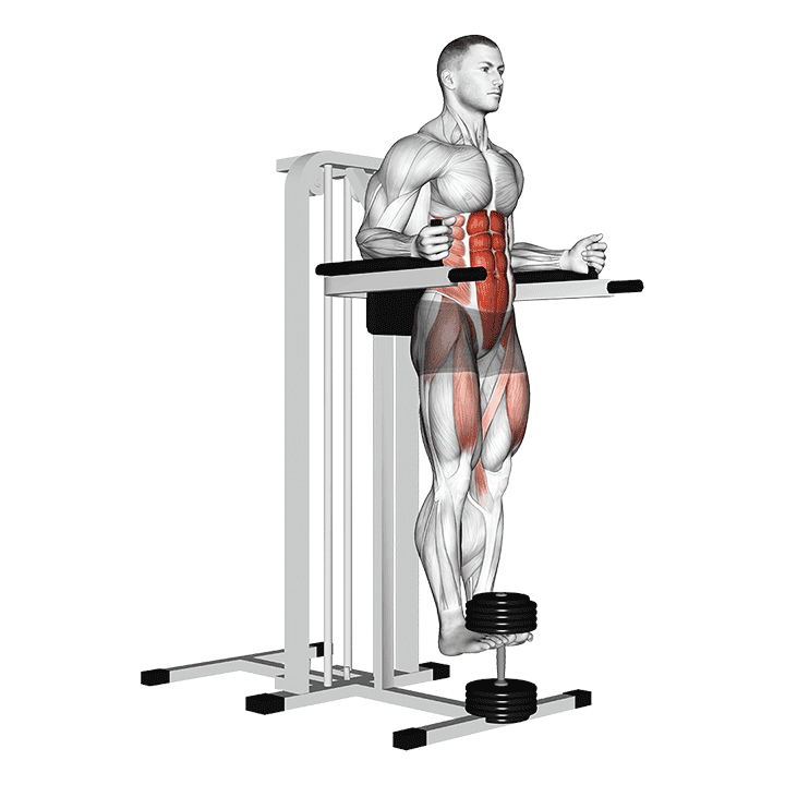 Weighted Captains Chair Leg Raise exercise demonstration