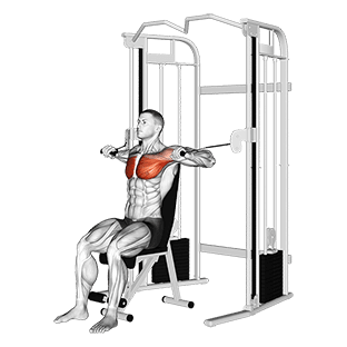 Cable Seated Chest Press exercise demonstration