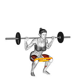 Resistance Band Full Squat exercise demonstration for Quadriceps, and Thighs, Barbell, Resistance Band