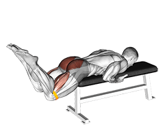 Resistance Band Reverse Hyperextension exercise demonstration