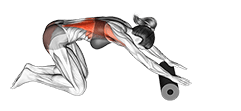 Roll Back Stretch exercise demonstration for Back, Roll
