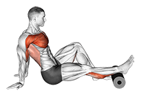 Roll Calves exercise demonstration for Calves, Roll