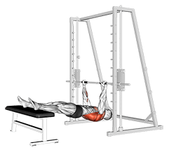 Inverted Row on Bench exercise demonstration