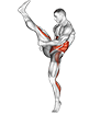 Rear Axe Kick. Kickboxing exercise demonstration for Plyometrics, Body weight