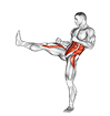 Front Snap Kick. Kickboxing exercise demonstration for Plyometrics, Body weight