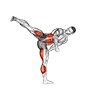 Spin Hook Kick. Kickboxing exercise demonstration for Plyometrics, Body weight
