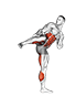 Side Kick. Kickboxing exercise demonstration for Plyometrics, Body weight