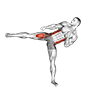 Roundhouse Kick. Kickboxing exercise demonstration for Plyometrics, Body weight
