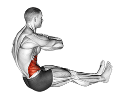 Spine Twist exercise demonstration for Waist, Body weight