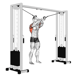 Cable Lat Pulldown Full Range Of Motion exercise demonstration for Back, Cable