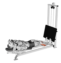 Sled Lying Calf Press exercise demonstration