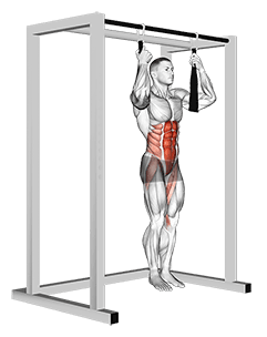 Arm slingers Hanging Bent Knee Legs exercise demonstration