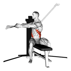 Cable Seated Twist exercise demonstration