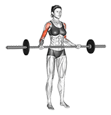 Barbell Wide-grip Drag Curl exercise demonstration for Biceps, and Upper Arms, Barbell