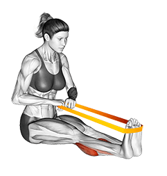 Resistance Band Calf Raise exercise demonstration for Calves, Resistance Band