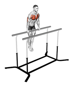 Chest Dip on Straight Bar exercise demonstration