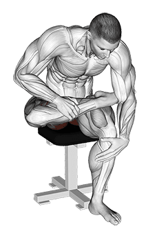 Seated Piriformis Stretch exercise demonstration for Hips, Body weight