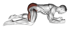 Rocking Frog Stretch exercise demonstration for Hips, Body weight