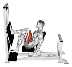 Lever Horizontal One leg Press exercise demonstration for Quadriceps, and Thighs, Leverage machine