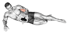Dumbbell Lying Supination on Floor exercise demonstration for Forearms, Dumbbell