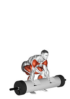 StrongMan Log Lift exercise demonstration for Weightlifting, Body weight