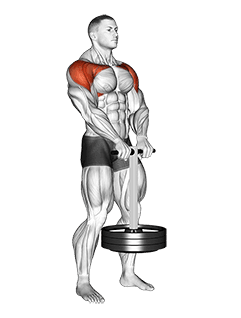 StrongMan Front Hold exercise demonstration