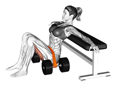Resistance Band Hip Thrust exercise demonstration