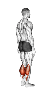 Ankle - Plantar Flexion - Articulations exercise demonstration for Calves, Body weight