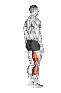 Knee - Flexion - Articulations exercise demonstration for Thighs, Body weight