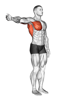Shoulder - Adduction - Articulations exercise demonstration