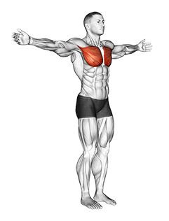 Shoulder - Transverse Adduction - Articulations exercise demonstration