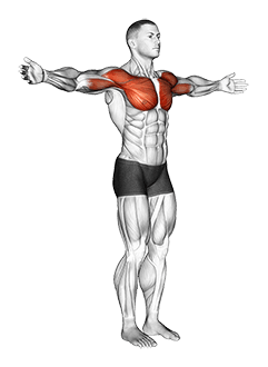 Shoulder - Transverse Flexion - Articulations exercise demonstration