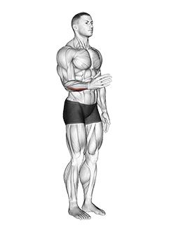 Wrist - Adduction - Articulations exercise demonstration for Forearms, Body weight