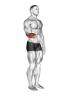 Wrist - Extension - Articulations exercise demonstration for Forearms, Body weight