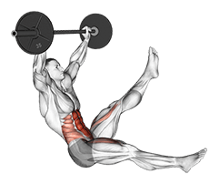 Barbell Sitted Alternate Leg Raise exercise demonstration for Waist, Barbell