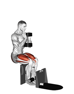 Dumbbell Supported Squat exercise demonstration for Thighs, Dumbbell