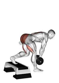 Dumbbell Single Leg Deadlift with Stepbox Support exercise demonstration for Hips, Dumbbell